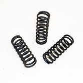 Fabio Leonardi SP3 Manual Tomato Machine Spring