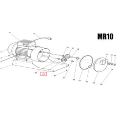 Fabio Leonardi MR10 Plastic Step Gear #25 (Ingranaggio Doppio in Plastica)
