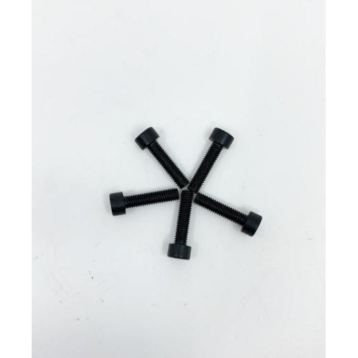 Fabio Leonardi MR2/MR0/MR8/MR9/MR10 Screws for Front of Motor Flange (5 pieces)