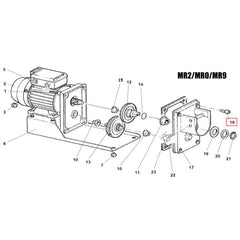 Fabio Leonardi MR2/MR0/MR8/MR9/MR10 Screws for Front of Motor Flange (5 pieces)