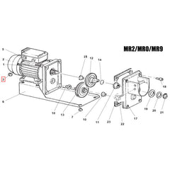 Fabio Leonardi MR2/MR0/MR9 Nuts to Secure Motor to Base (4pcs)