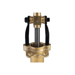 Bottene Bigolaro Premium Hand Pasta Extruder with Rigatoni and Spaghetti 2.5 mm Brass Dies Made in Italy