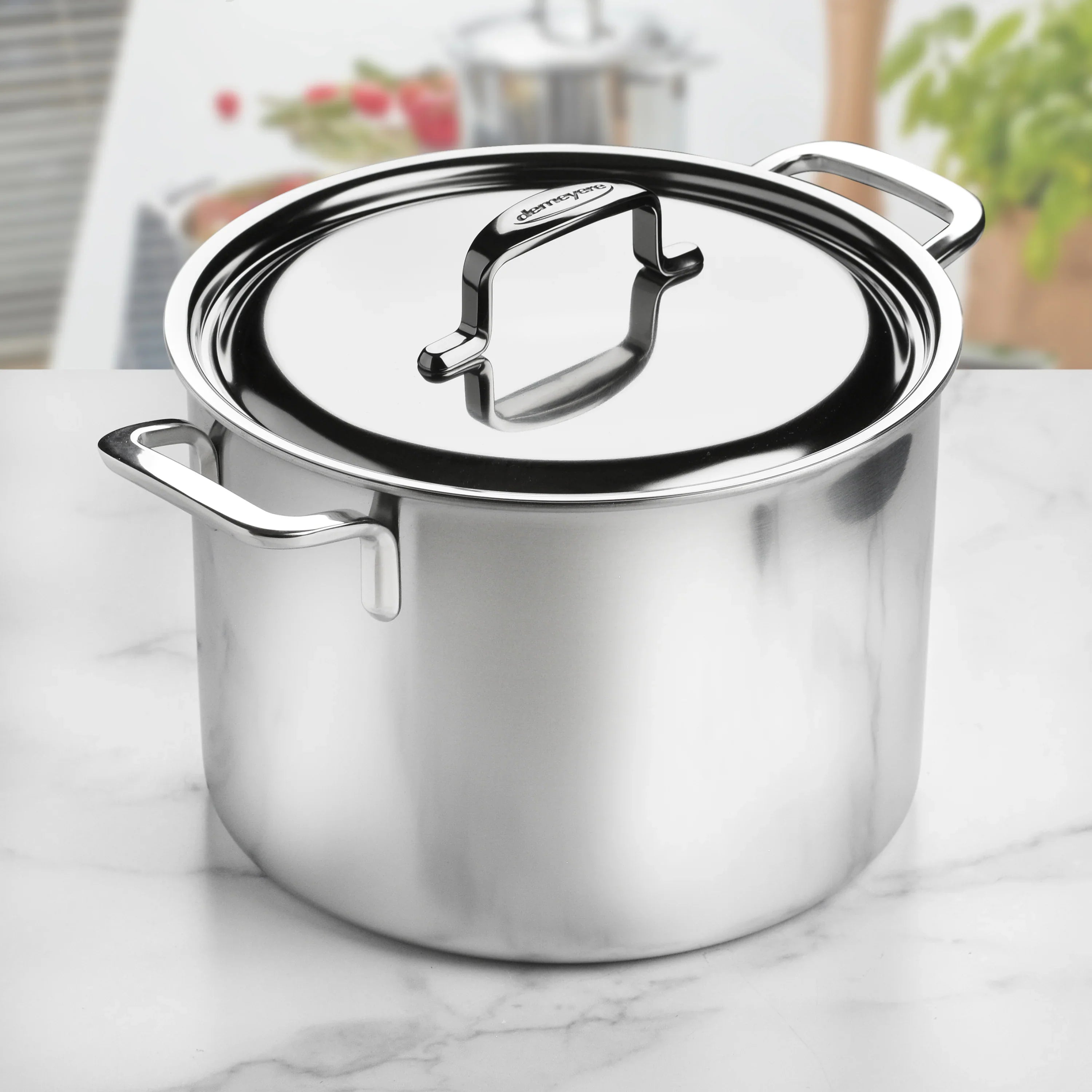 Demeyere Industry 10 Piece 18/10 Stainless Steel Cookware Set - 1029795