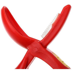 Chestnut Cutter (Taglia castagne)